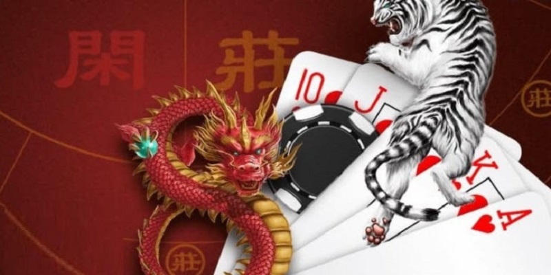 Sơ lược về Rồng Hổ